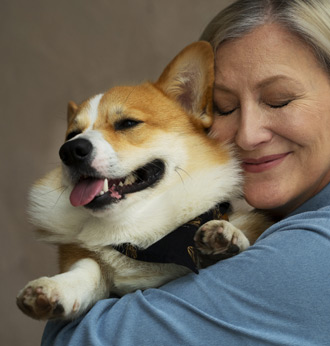 pet insurance and a dog's age, breed, health