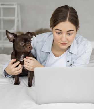 comparing the best pet insurance policies UK